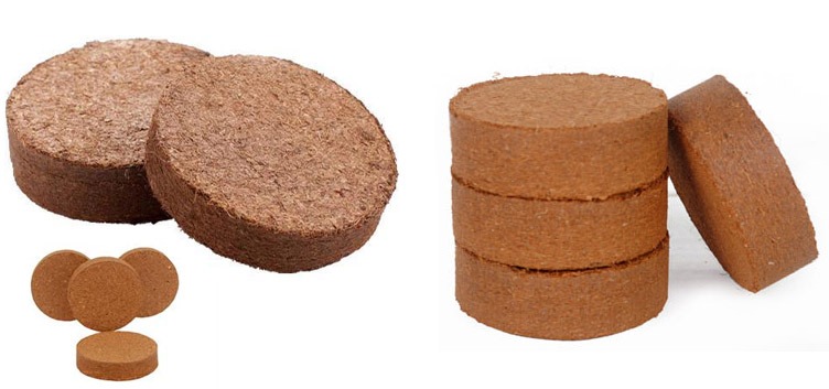Coco Discs