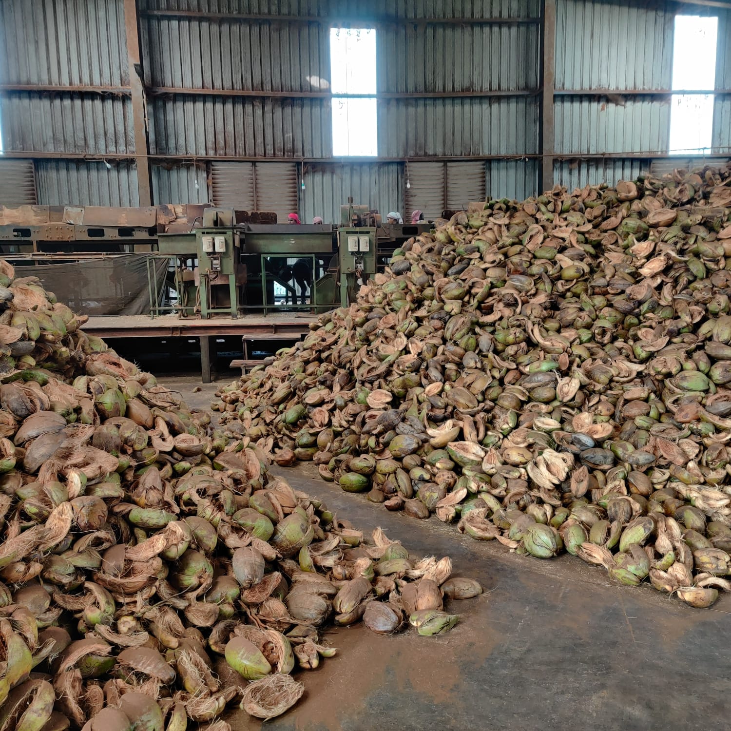 Coco Longa processing facility