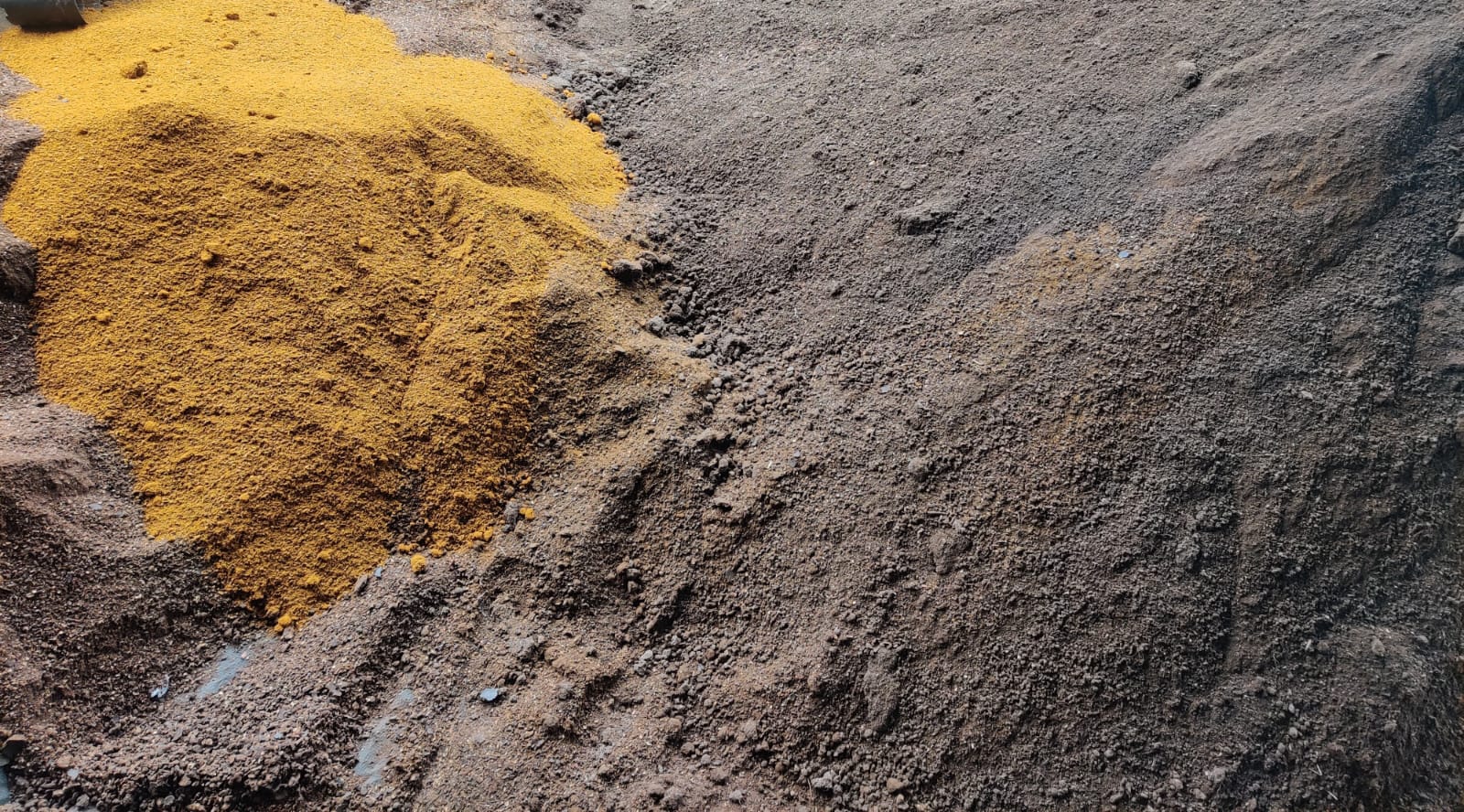 Neem + Turmeric Combination